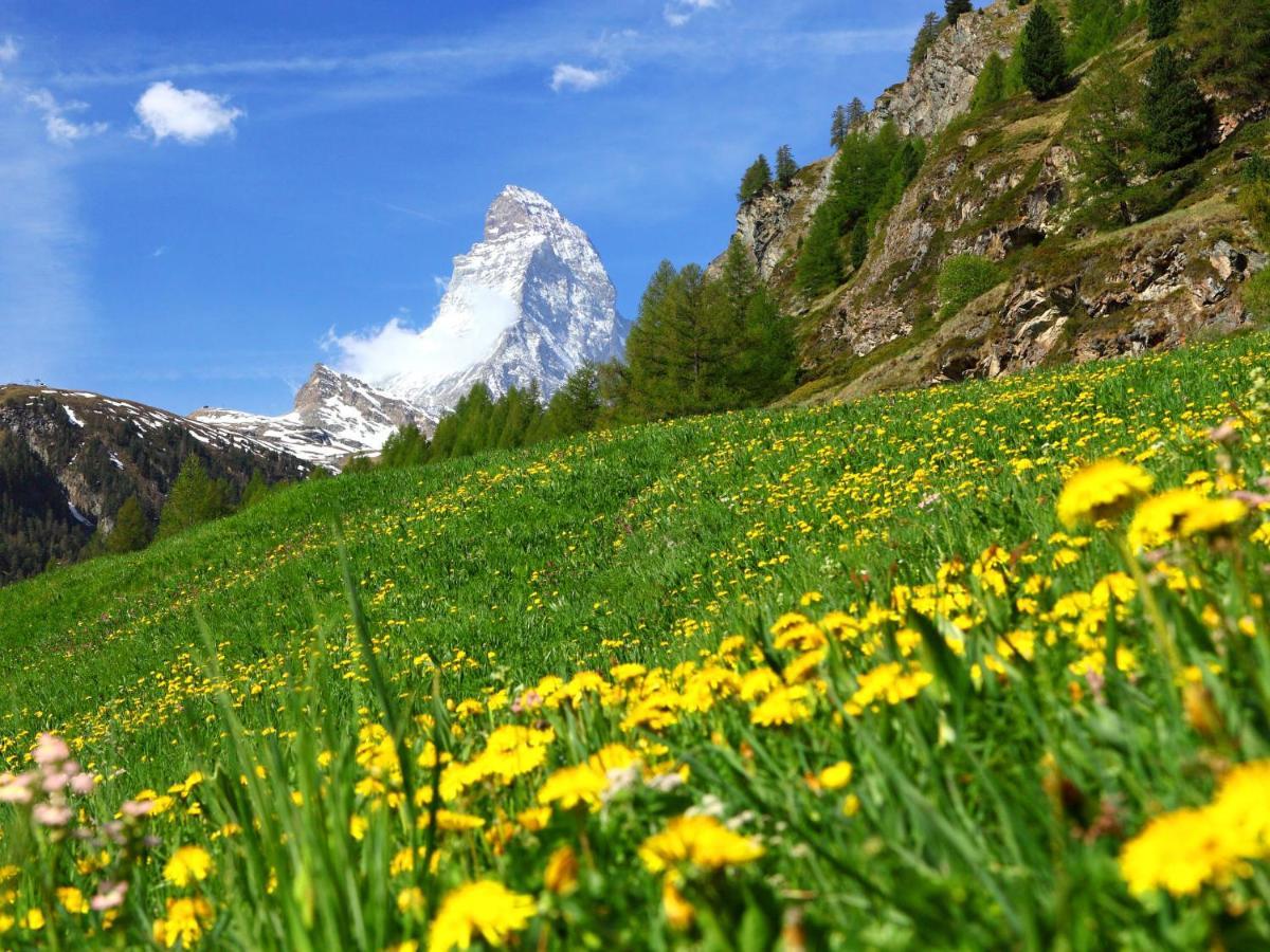 Apartment Zen Stecken A By Interhome Zermatt Esterno foto
